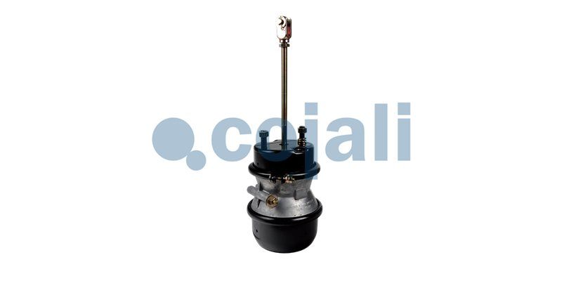 Cilindru multifunctional COJALI 2251426