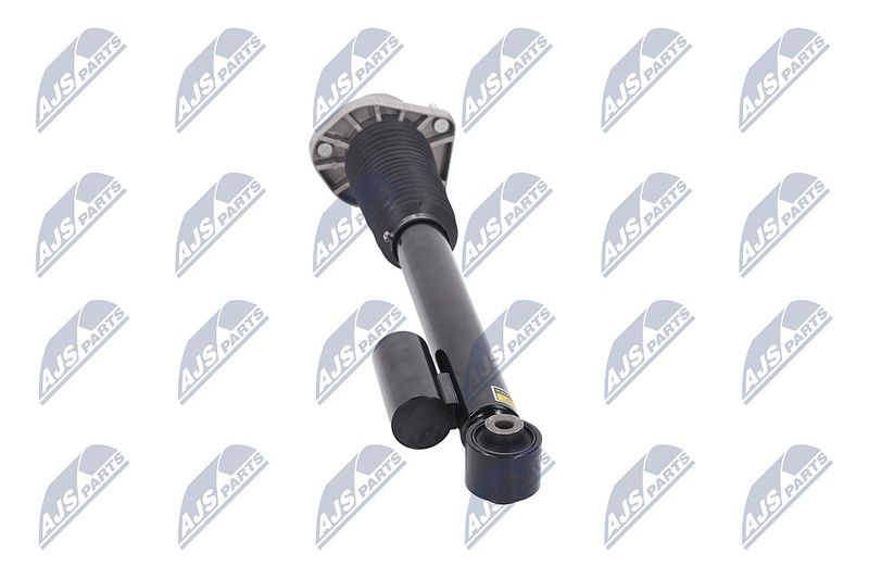 Amort, NTY A-LR-019