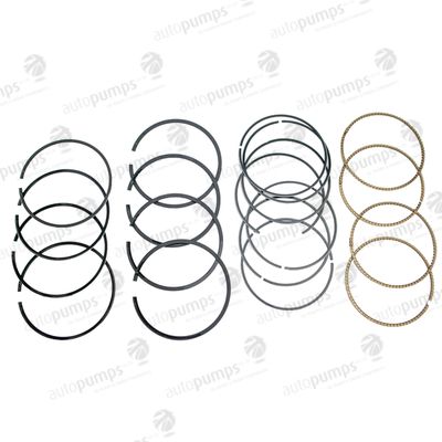 Autopumps UK A2042 Piston Ring Set
