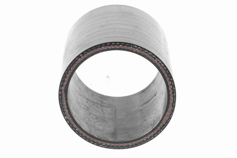 VAICO V25-1019 Charge Air Hose