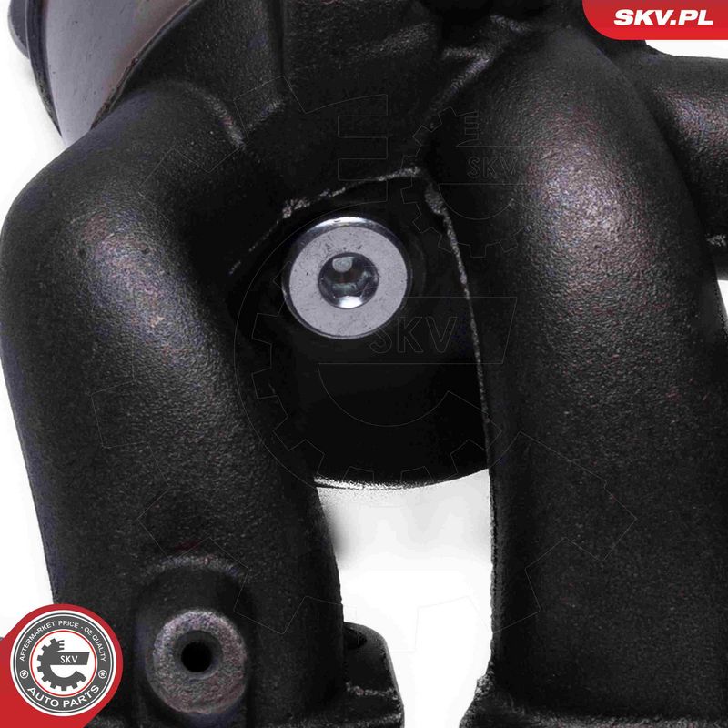Katalüsaator, ESEN SKV 62SKV012