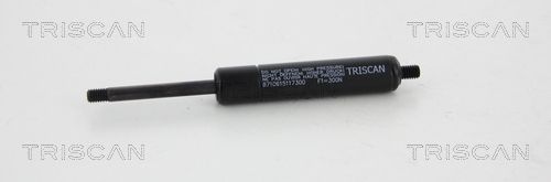 TRIS8710615117300.JPG