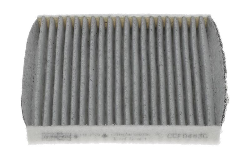 CHAMPION Filtras, salono oras
