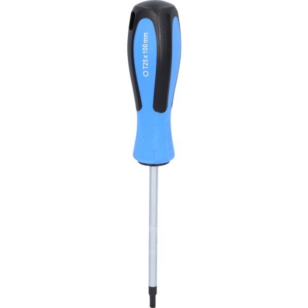 KS TOOLS BT031014 Screwdriver