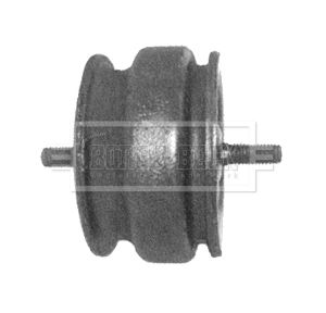 BEM3273_210129.JPG