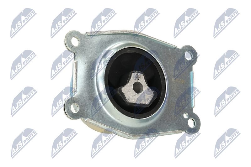 Paigutus, Mootor, NTY ZPS-PL-026