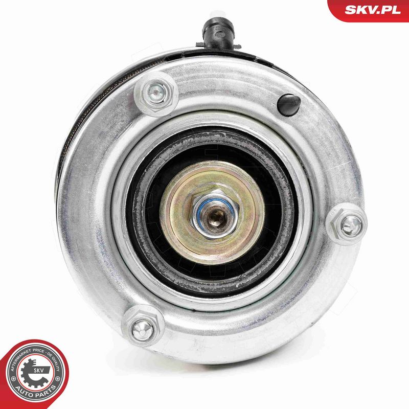 ESEN SKV 58SKV709 Air Suspension Strut