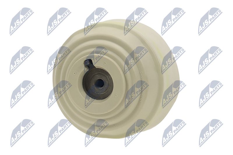 Paigutus, Mootor, NTY ZPS-ME-101