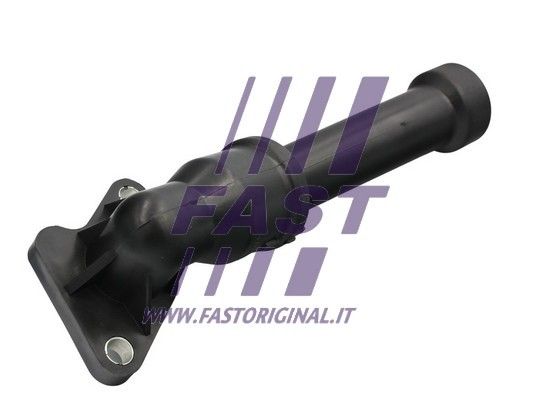 FT61128_2_1.JPG