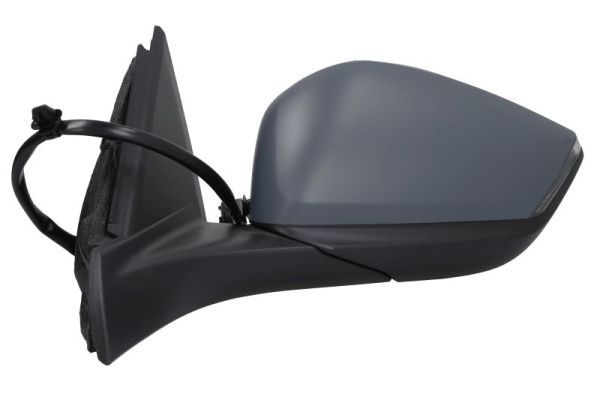 BLIC 5402-08-2543312P Exterior Mirror