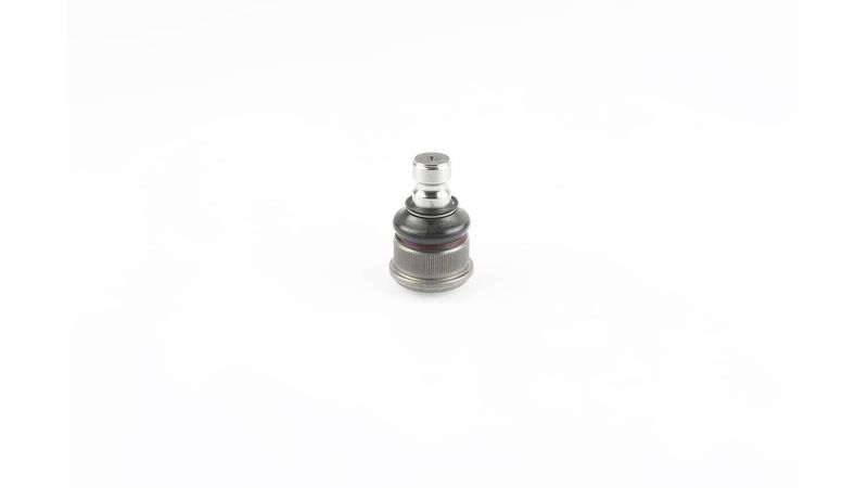 SKF VKDS 316006 Šarnyras / girgždukas