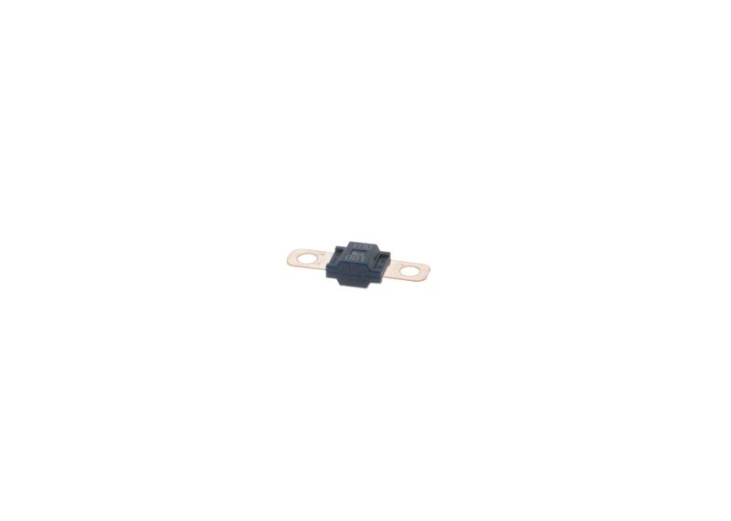 BOSCH 1987531011 Fuse