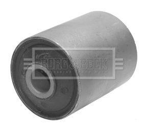 BSK6630_211617.JPG