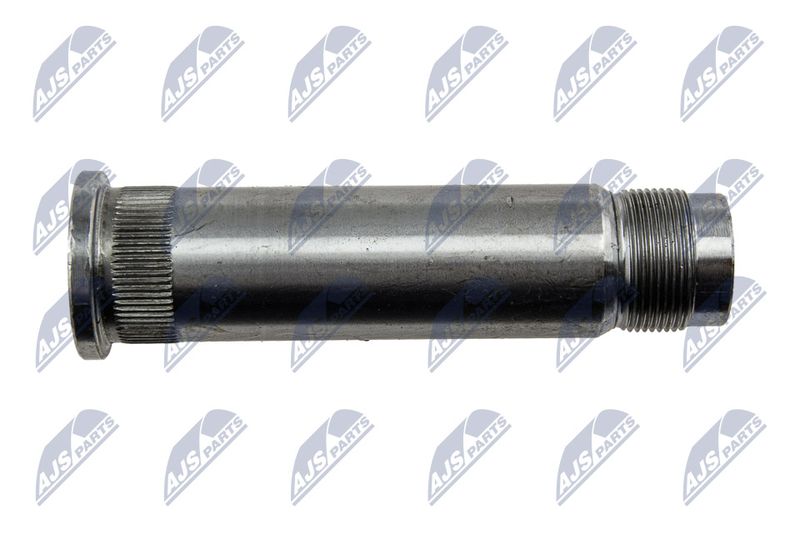 ZBZ-CT-004_3-WM.JPG