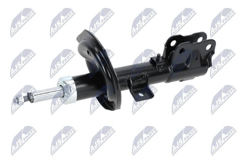 Amort, NTY A-MS-016