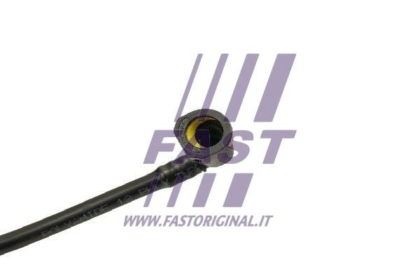 FT39601_2_1.JPG