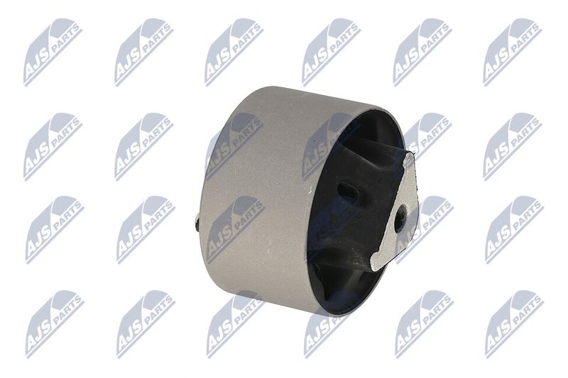 Paigutus, Mootor, NTY ZPS-CH-039