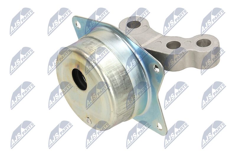 Paigutus, Mootor, NTY ZPS-PL-049