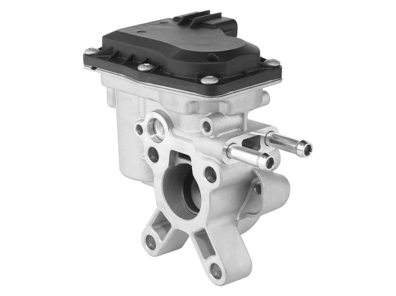 BorgWarner 729015D EGR Valve