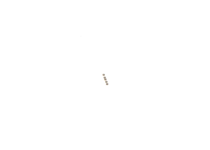 BOSCH F00ZC99740 Repair Kit, common rail system