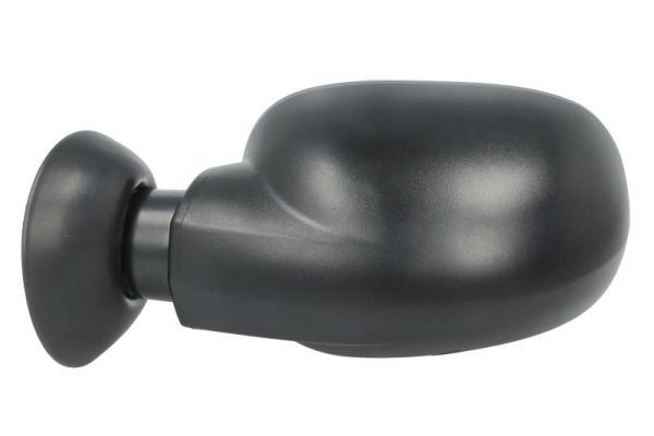 BLIC 5402-04-1199599P Exterior Mirror