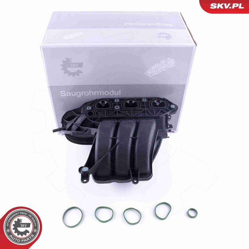 ESEN SKV 49SKV056 - Intake Manifold Module