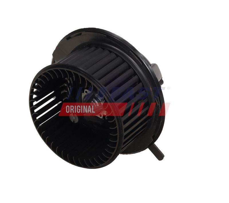 Salongipuhur, FAST FT13841