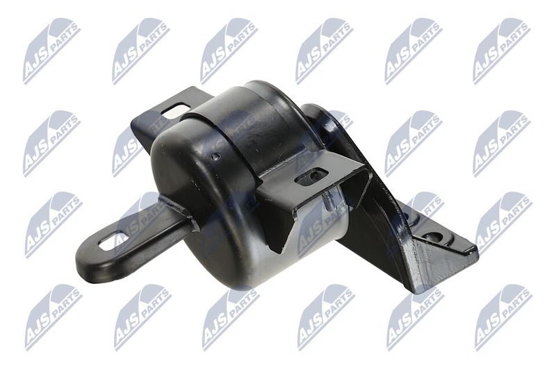 Paigutus, Mootor, NTY ZPS-DW-011