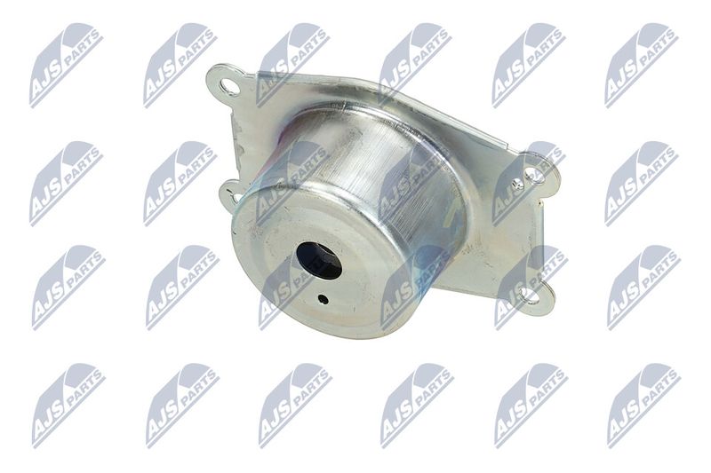 Paigutus, Mootor, NTY ZPS-PL-044