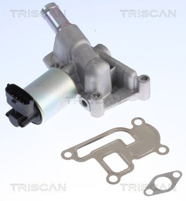 TRISCAN AGR-szelep 8813 24001