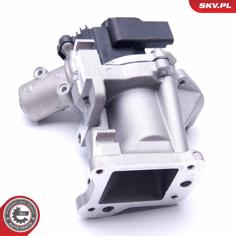 EGR-klapp, ESEN SKV 14SKV171