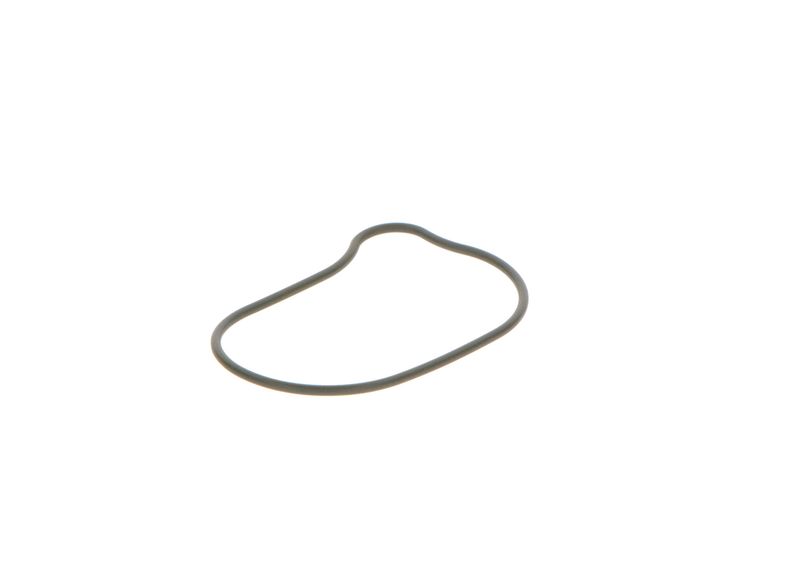 BOSCH 2440210028 Rubber Ring