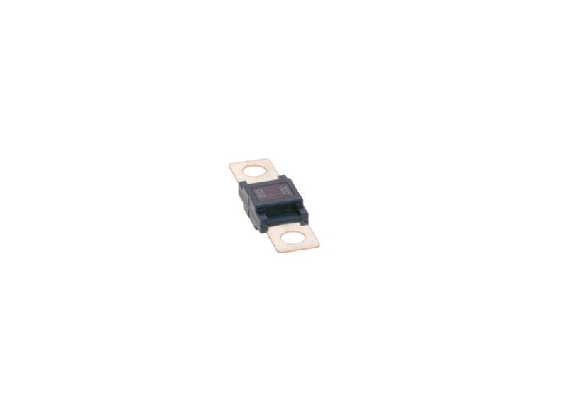 BOSCH 1987531004 Fuse