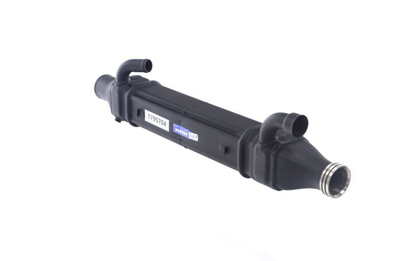 REMANTE 010-001-000022R EGR Module