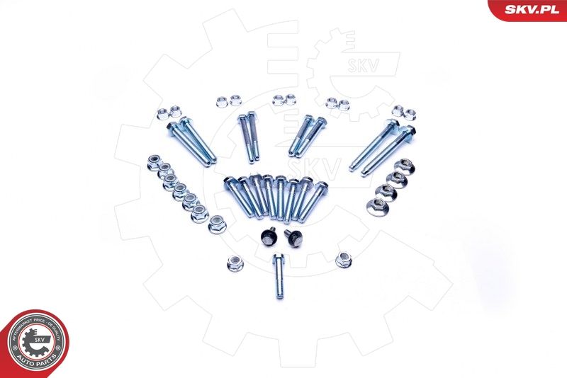 ESEN SKV 04SKV116 Repair Kit, control arm