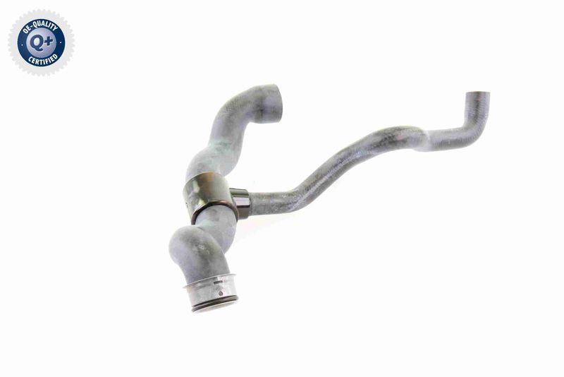 VAICO V30-1660 Radiator Hose