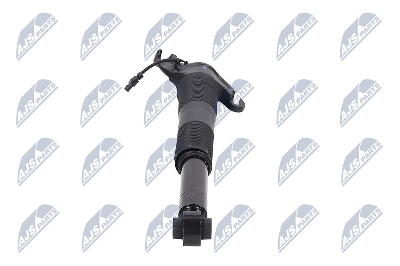Amort, NTY A-LR-022