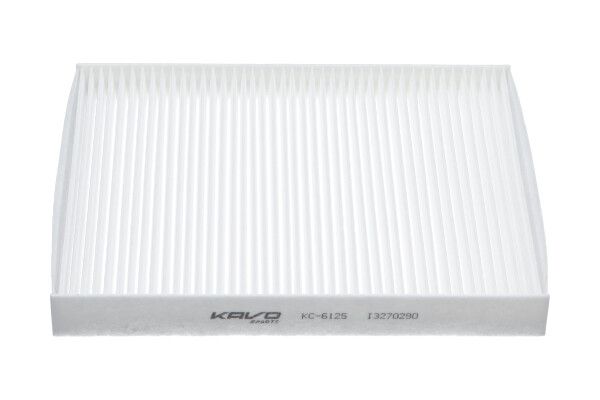 Kavo Parts Filtras, salono oras