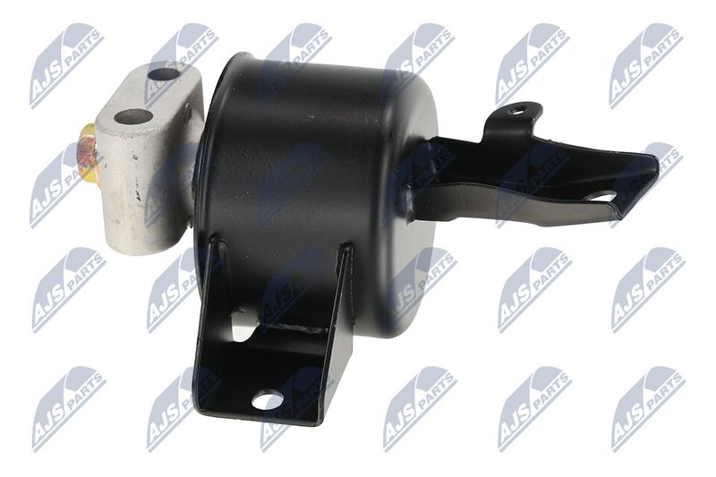 Paigutus, Mootor, NTY ZPS-DW-010