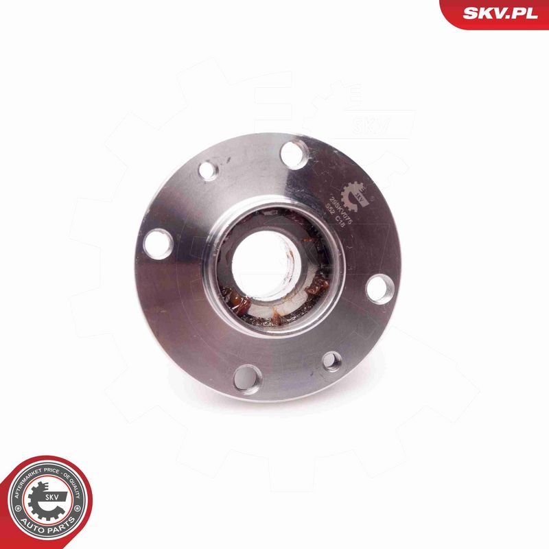 ESEN SKV 29SKV075 Wheel Bearing Kit