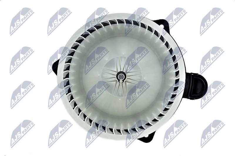 Salongipuhur, NTY EWN-KA-000