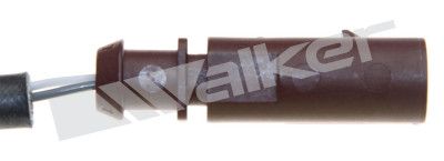 273-20819_3.JPG