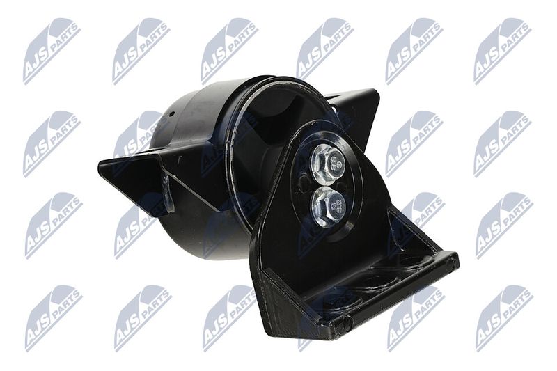 Paigutus, Mootor, NTY ZPS-DW-011