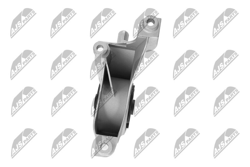 Paigutus, Mootor, NTY ZPS-CH-149