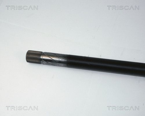 854025581_3.JPG