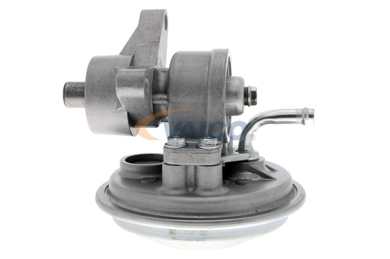 VAICO V25-1908 Mounting, engine