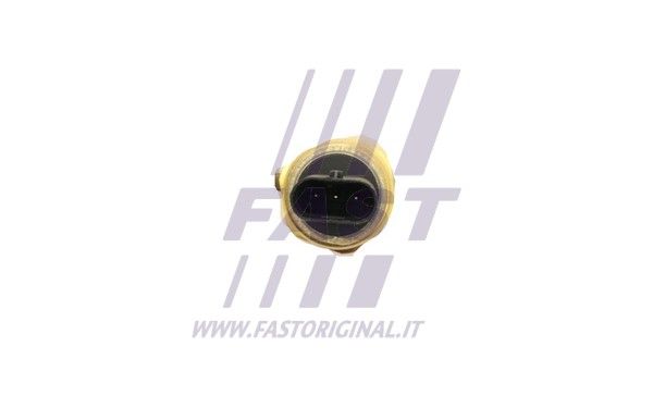 FT80009_3_1.JPG