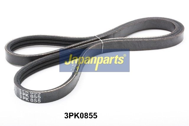 DV-3PK0855 JAPANPARTS Cinghia Poly-V 