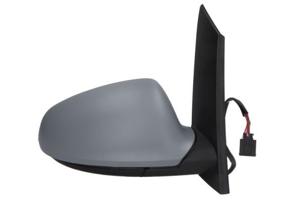 BLIC 5402-04-2121594P Exterior Mirror