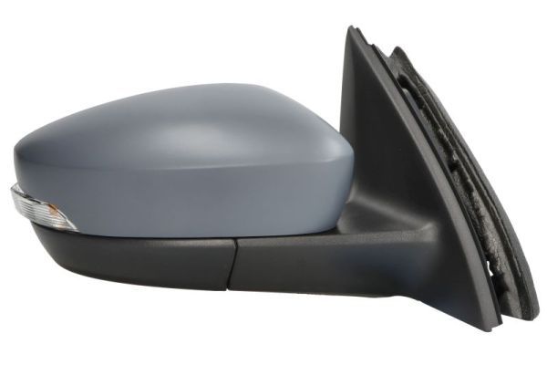 BLIC 5402-43-2029311P Exterior Mirror